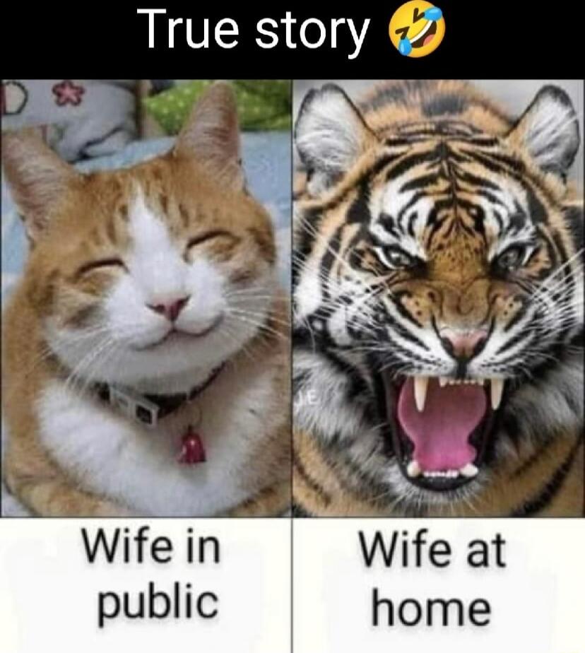 True story et M Nt Wife at
