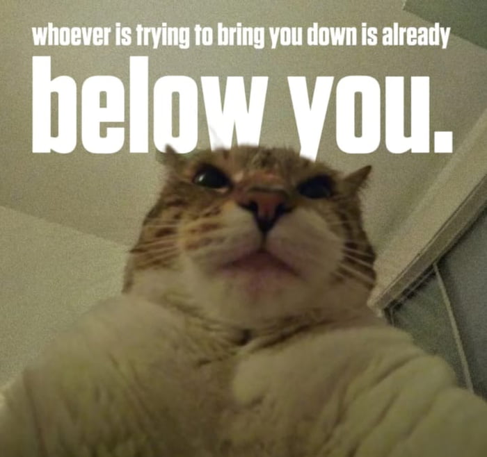 whoever is trying to bring you down is already below you.