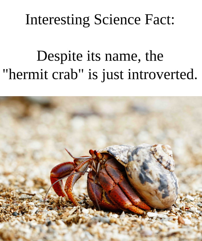 Interesting Science Fact: Despite its name, the 
