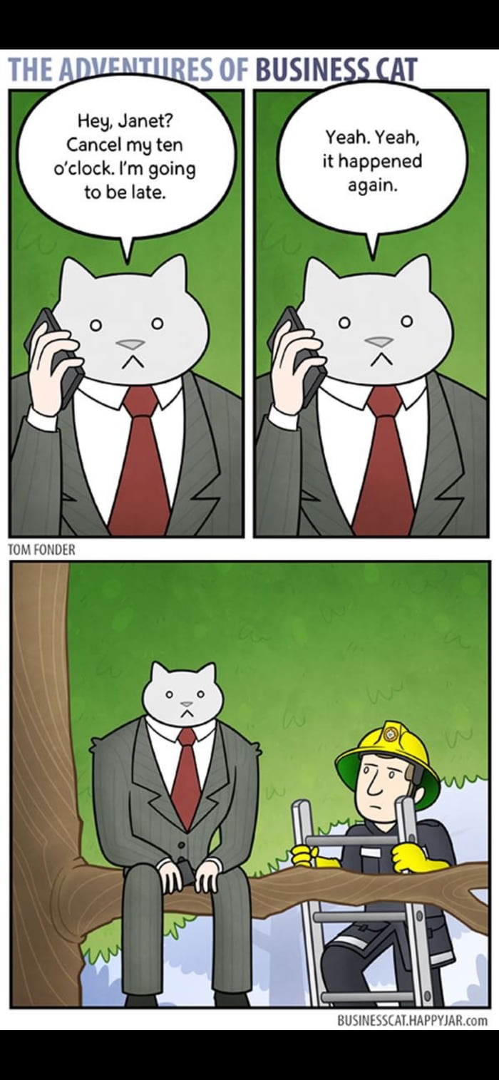 THE ADVENTURES OF BUSINESS CAT. Hey, Janet? Cancel my ten o'clock. I'm going to be late. Yeah. Yeah, it happened again. TOM FONDER. BUSINESSCAT.HAPPYJAR.com