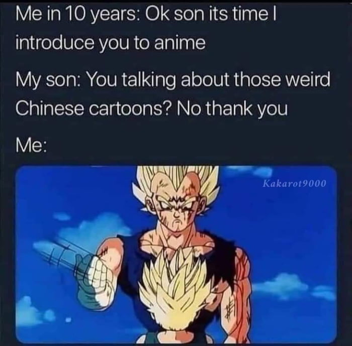 VXA NIORYEET SO T lal SR g Y introduce you to anime My son You talking about those weird Chinese cartoons No thank you