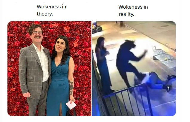 Wokeness in Wokeness in theory reality