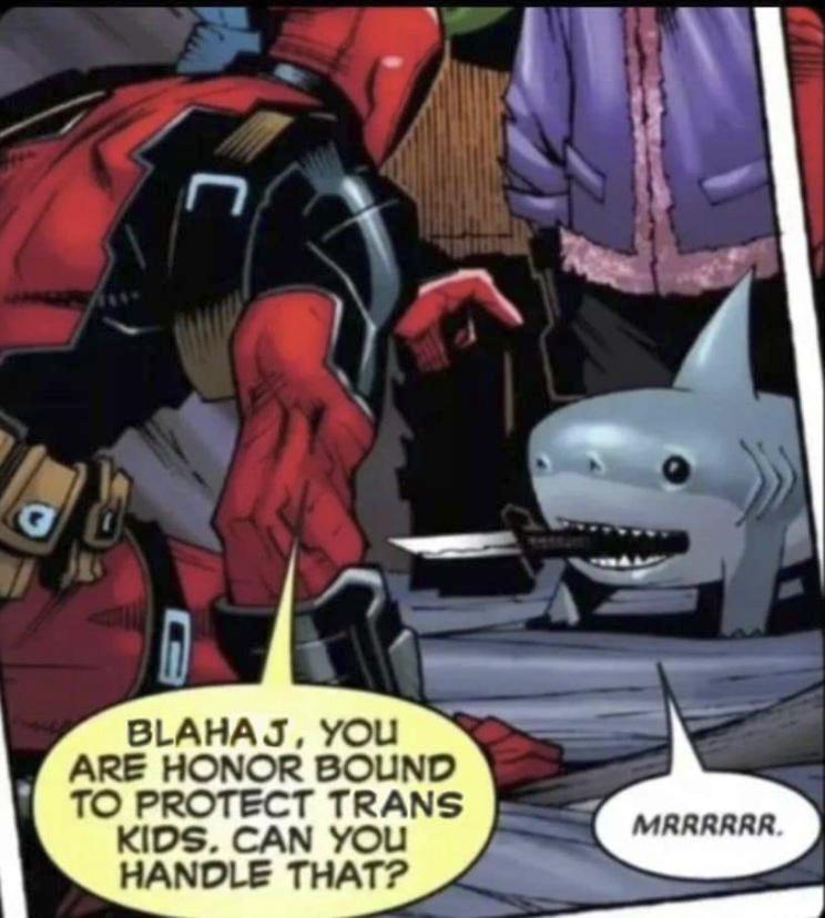 BLAHAJ YOU ARE HONOR BOUND TO PROTECT TRANS KIDS CAN YOU HANDLE THAT