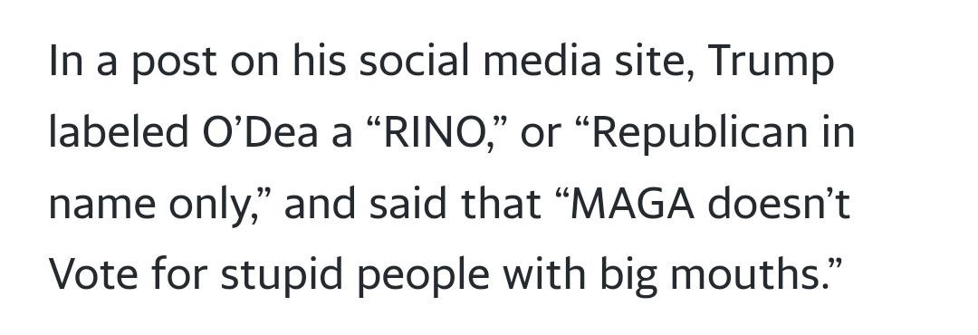 In a post on his social media site Trump labeled ODea a RINO or Republican in name only and said that MAGA doesnt Vote for stupid people with big mouths