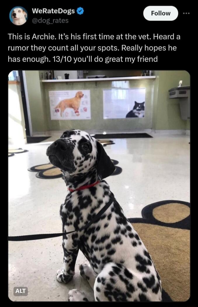 WeRateDogs This is Archie Its his first time at the vet Heard a rumor they count all your spots Really hopes he has enough 1310 youll do great my friend