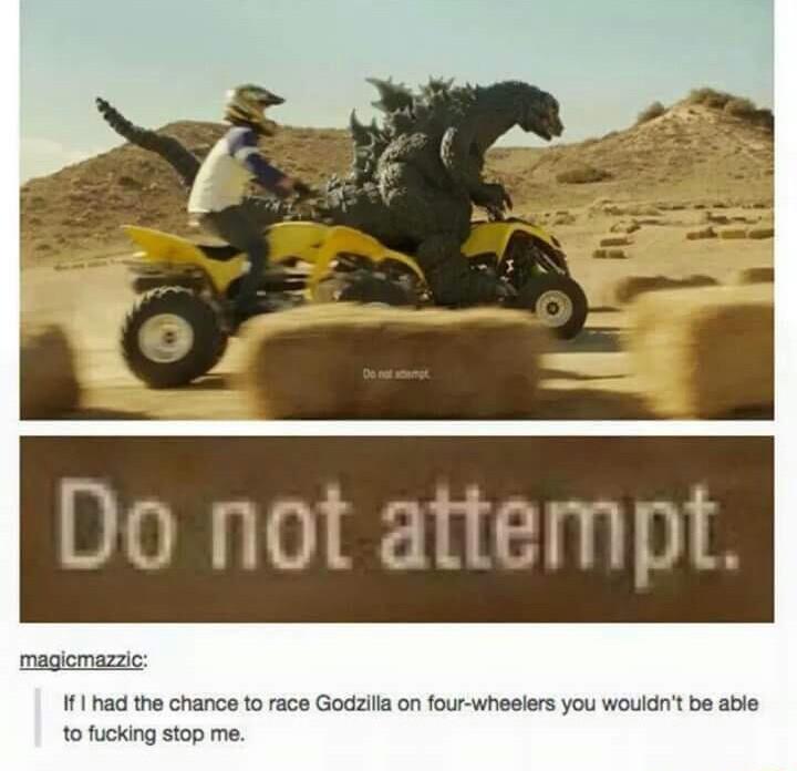 magicmazzic 11 had the chance to race Godzilla on four wheelers you wouldnt be able o fucking stop me