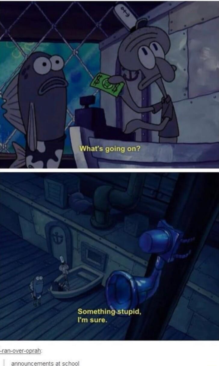 Whats going on Something stupid Im sure