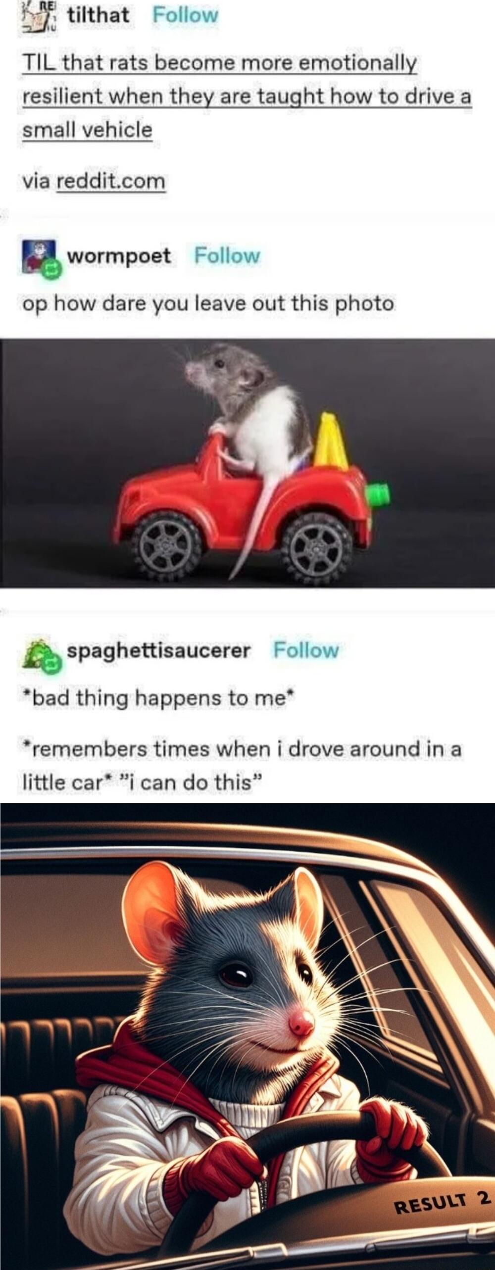 tilthat Follow TIL that rats become more emotionally resilient when they are taught how to drive a small vehicle via redditcom nwormpoet Follow op how dare you leave out this photo spaghenisaucerer Follow bad thing happens to me remembers times when i drove around in a little car i can do this