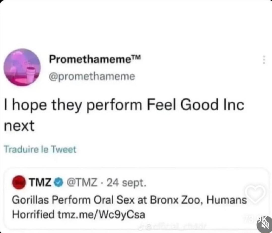 Promethameme promethameme hope they perform Feel Good Inc next Traduire le Tweet TMZ TMZ 24 sept Gorillas Perform Oral Sex at Bronx Zoo Humans Horrified tmzmeWc9yCsa