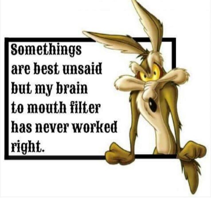 Somethings are best unsaid but my brain to mouth filter has never worked right.