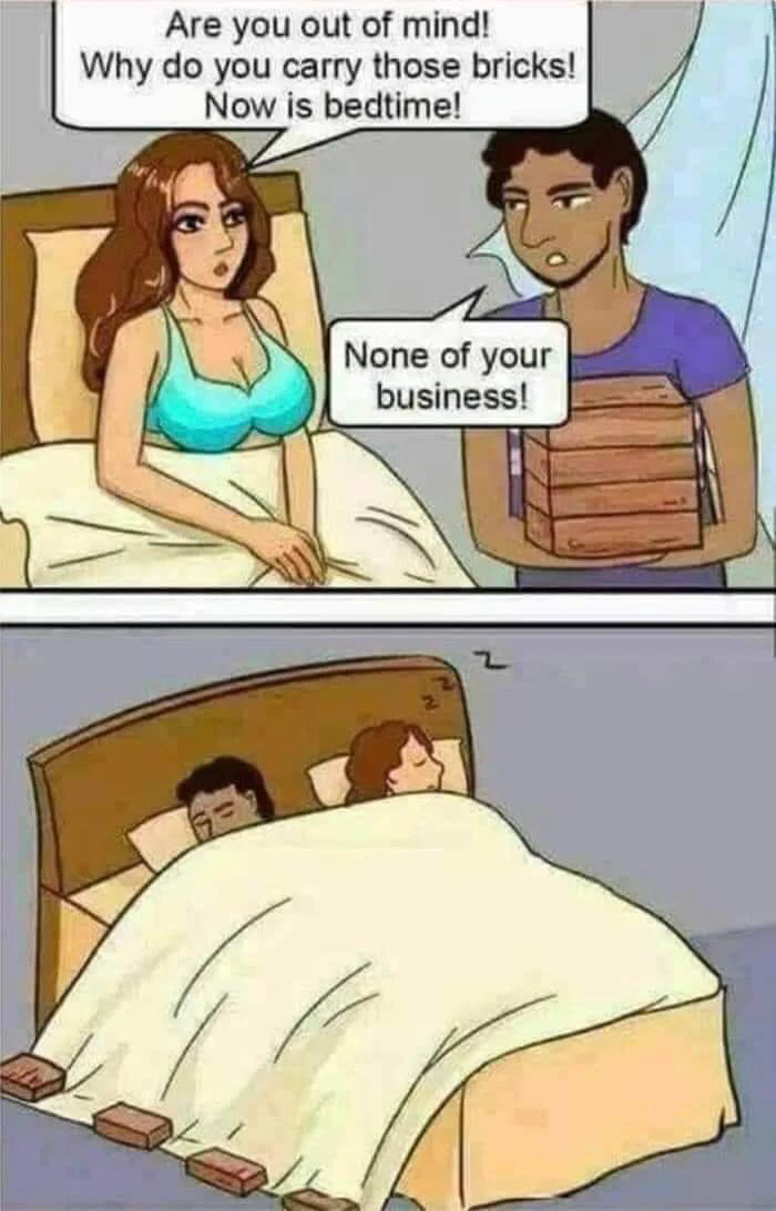 Are you out of mind! Why do you carry those bricks! Now is bedtime! None of your business!