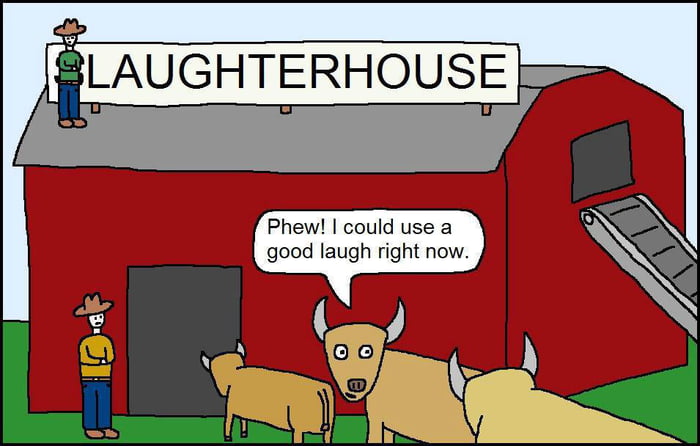 LAUGHTERHOUSE Phew! I could use a good laugh right now.