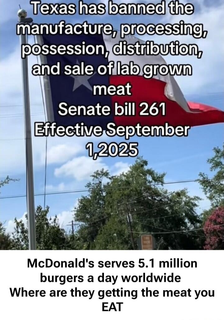 Texas has banned the manufacture, processing, possession, distribution, and sale of lab grown meat Senate bill 261 Effective September 1, 2025 McDonald's serves 5.1 million burgers a day worldwide Where are they getting the meat you EAT