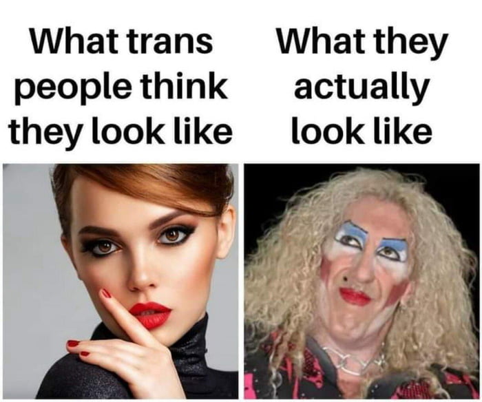 Whattrans What they people think actually they look like look like