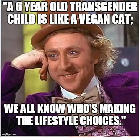 AGYEAR OLD TRANSGENDER H ISR TH B a7 X WEALL IIIIIW WHOS MAKING THE LIFESTYLE IIIIIIGES