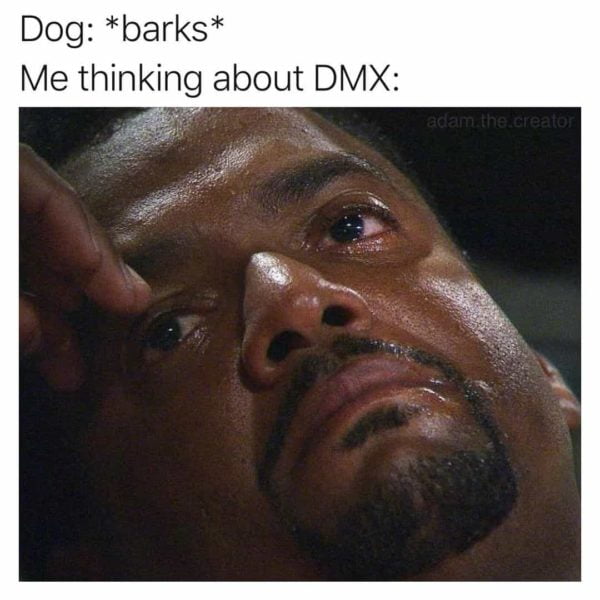 Dog barks Me thinking about DMX s