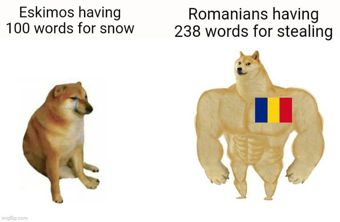 Eskimos having Romanians having 100 words for snow 238 words for stealing