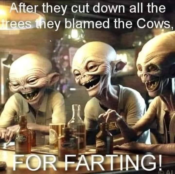 fter they cut down all the ey blamed the Cows
