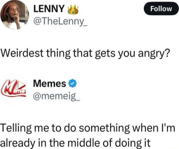 Q LENNY ThelLenny_ Weirdest thing that gets you angry i Memes memeig_ Telling me to do something when Im already in the middle of doing it