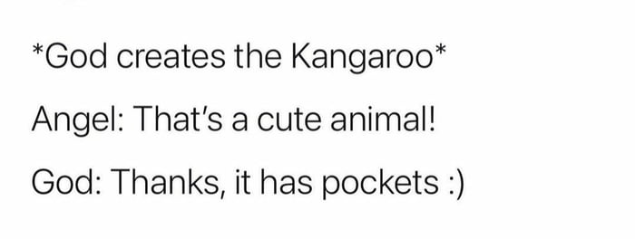 God creates the Kangaroo Angel Thats a cute animal God Thanks it has pockets