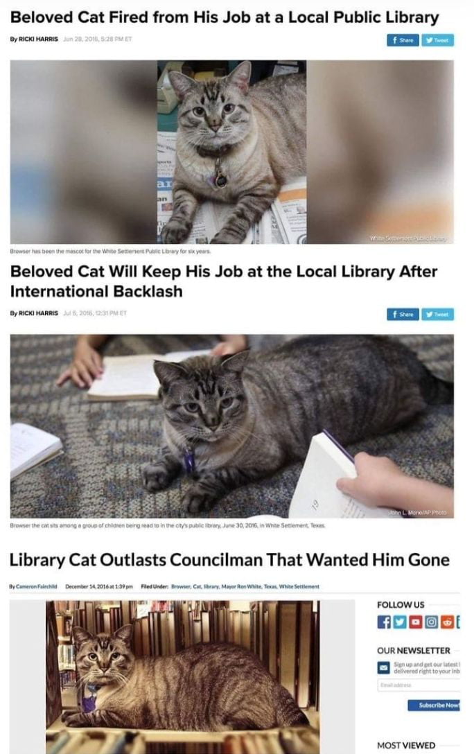 Beloved Cat Fired from His Job at a Local Public Library oy wares o Beloved Cat Will Keep His Job at the Local Library After International Backlash By mox wanms FoLLOWUs noosatl OURNEWSLETTER MOST VIEWED