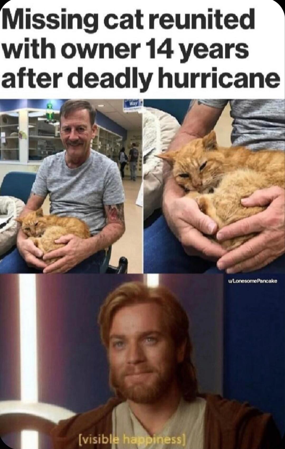 Missing cat reunited with owner 14 years