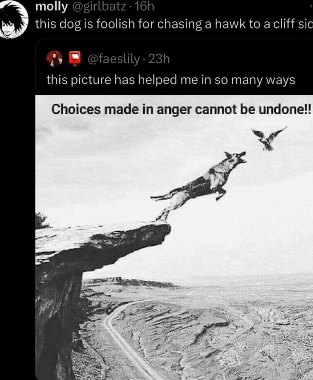 molly this dog is foolish for chasing a hawk to a cliff sic DHe this picture has helped me in so many ways Choices made in anger cannot be undone