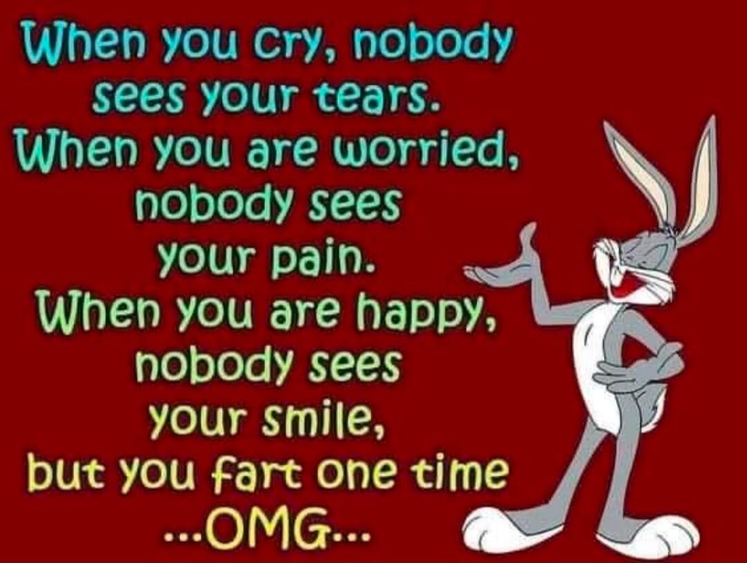 When you cry, nobody sees your tears. When you are worried, nobody sees your pain. When you are happy, nobody sees your smile, but you fart one time .... OMG