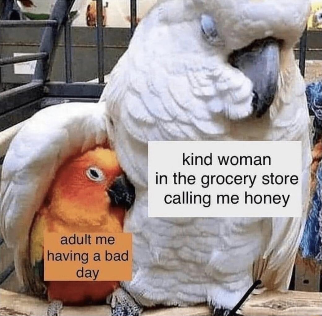 kind woman in the grocery store calling me honey having a bad da