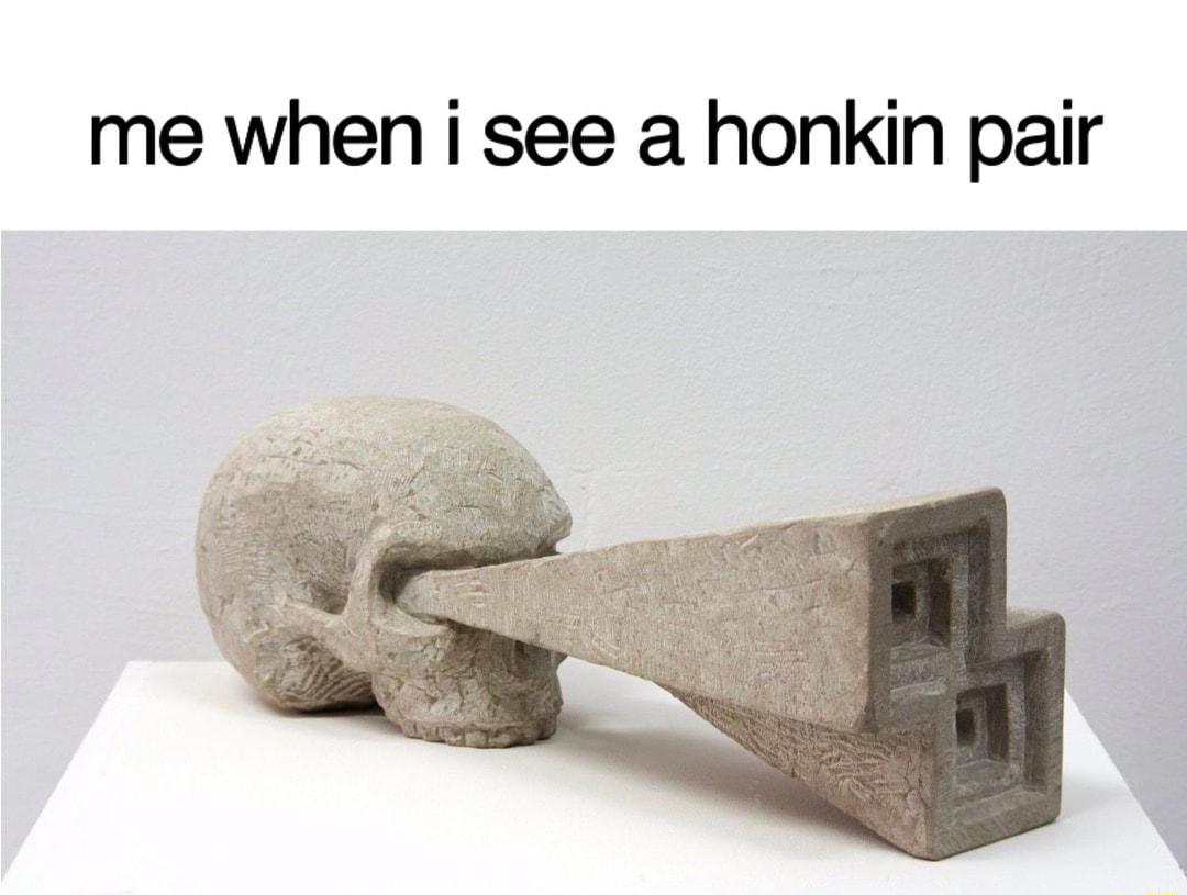 me when i see a honkin pair