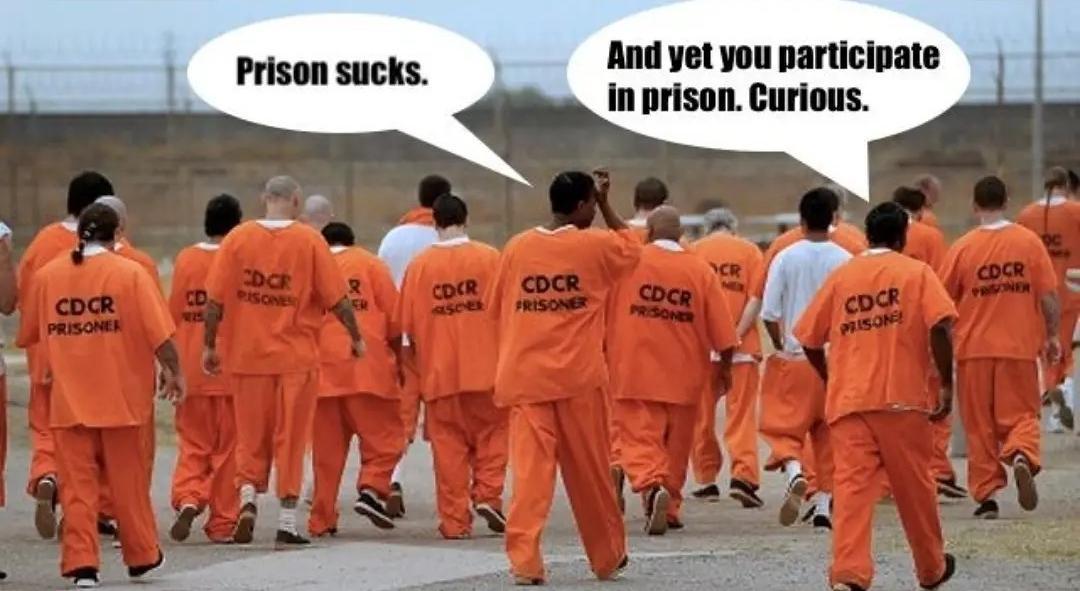 Prison sucks And yet you participate in prison Curious
