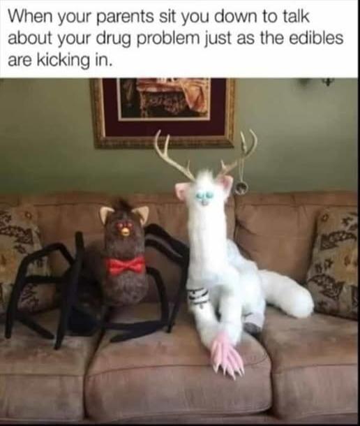 When your parents sit you down to talk about your drug problem just as the edibles are kicking in.