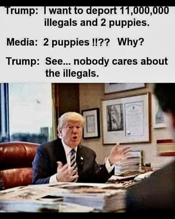 Trump: I want to deport 11,000,000 illegals and 2 puppies. Media: 2 puppies !!?? Why? Trump: See... nobody cares about the illegals.