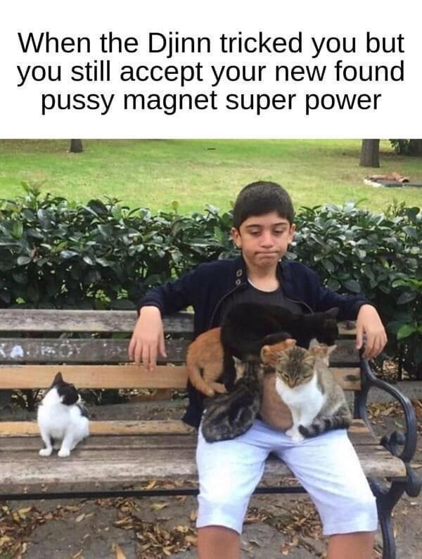 When the Djinn tricked you but you still accept your new found pussy magnet super power
