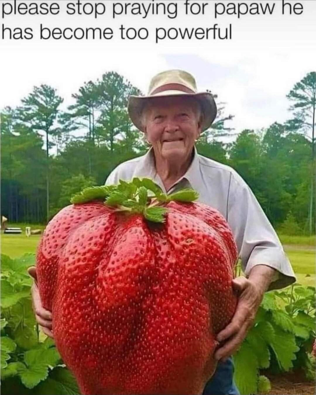 please stop praying tor papaw ne has become too powerful