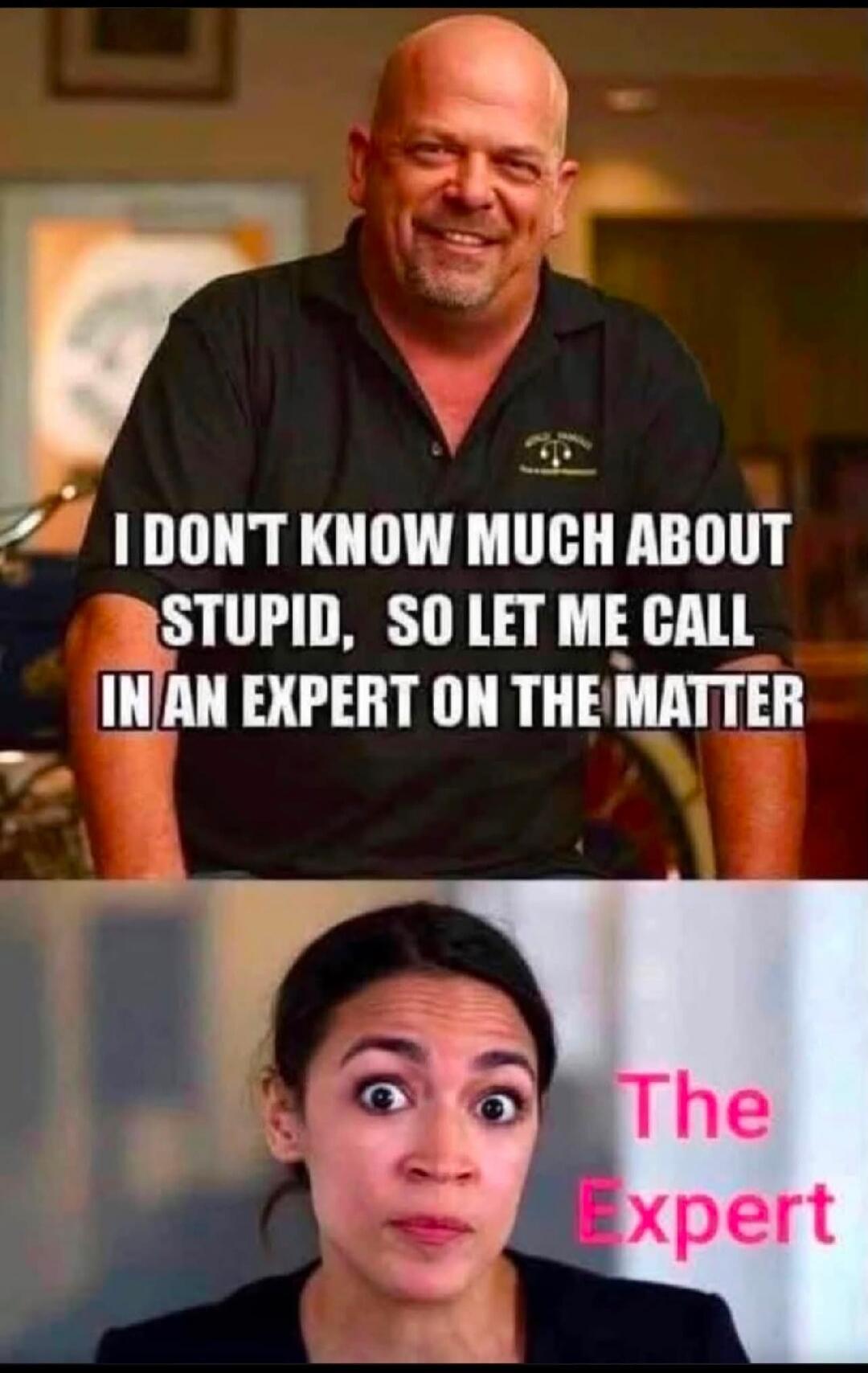 I DON'T KNOW MUCH ABOUT STUPID, SO LET ME CALL IN AN EXPERT ON THE MATTER. The Expert.