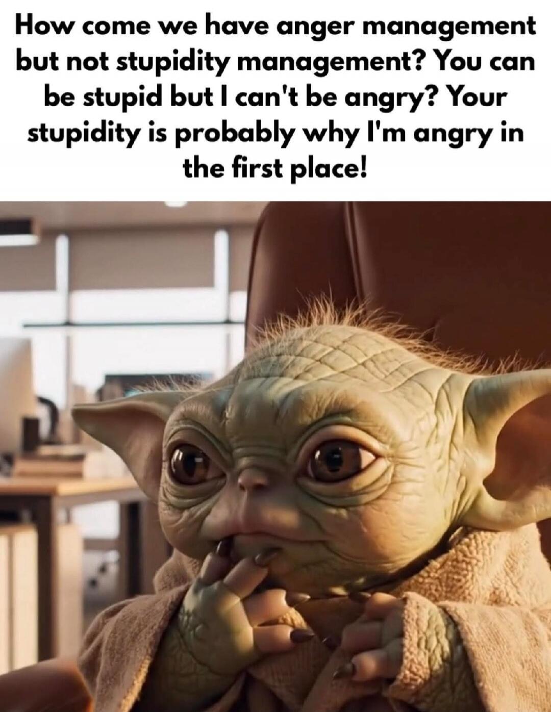 How come we have anger management but not stupidity management? You can be stupid but I can't be angry? Your stupidity is probably why I'm angry in the first place!