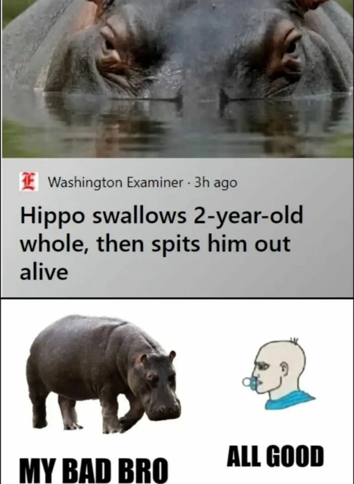 Washington Examiner 3h ago Hippo swallows 2 year old whole then spits him out MY BAD BRO