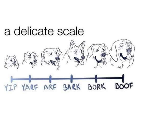 a delicate scale DD ey BS ria 3337 iil O Ul iSs tttt IP YARF ARE BARK BORK DOOF