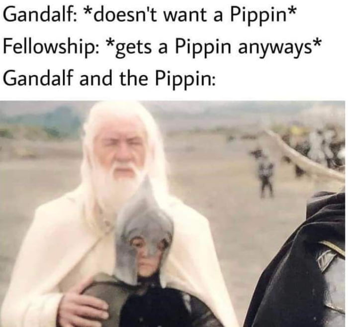 Gandalf doesnt want a Pippin Fellowship gets a Pippin anyways Gandalf and the Pippin u R U