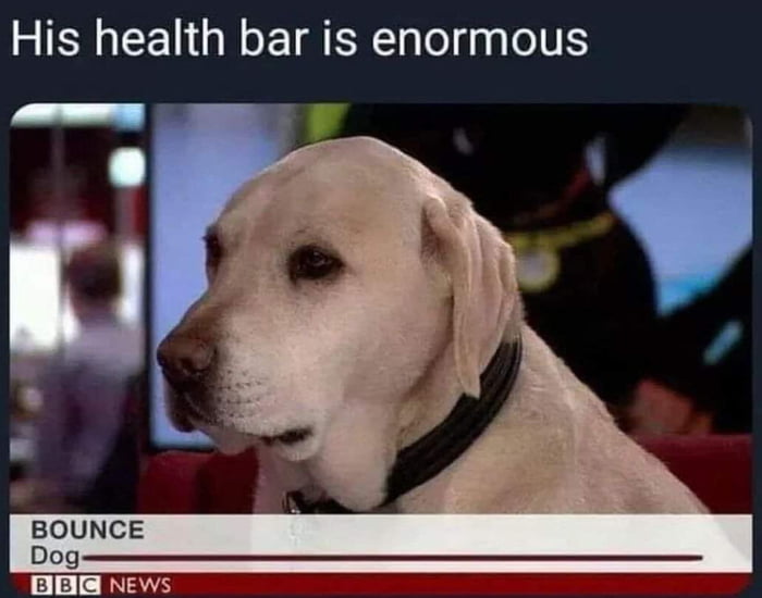His health bar is enormous BOUNCE Dog T CRETS