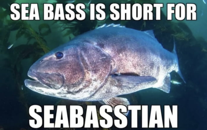 SEA IASSfIASkII0IIiIII SEABASSTIAN