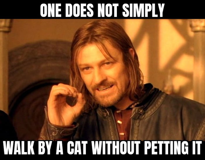 ONE DOES NOT SIMPLY WALK BY A CAT WITHOUT PETTING IT