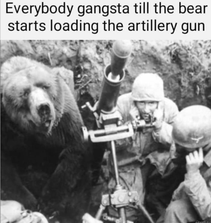 Everybody gangsta till the bear starts Ioadmg the artlllery gun
