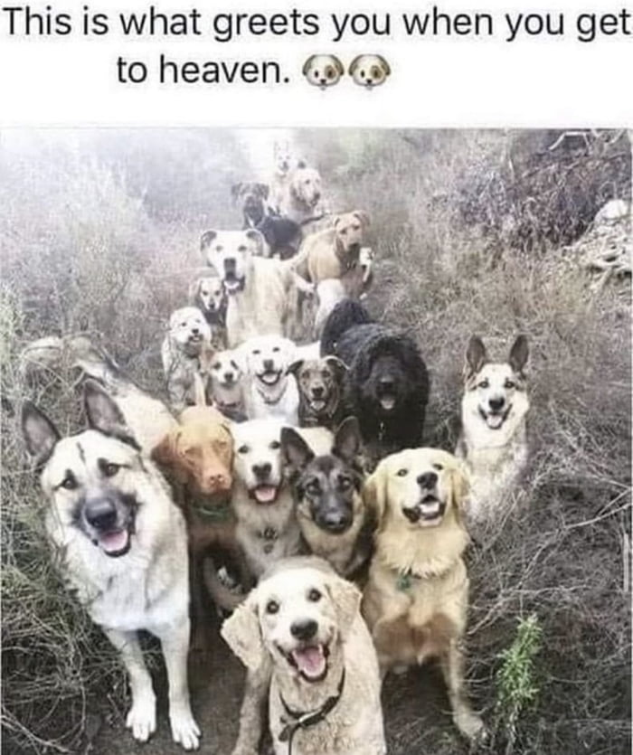 This is what greets you when you get to heaven 369