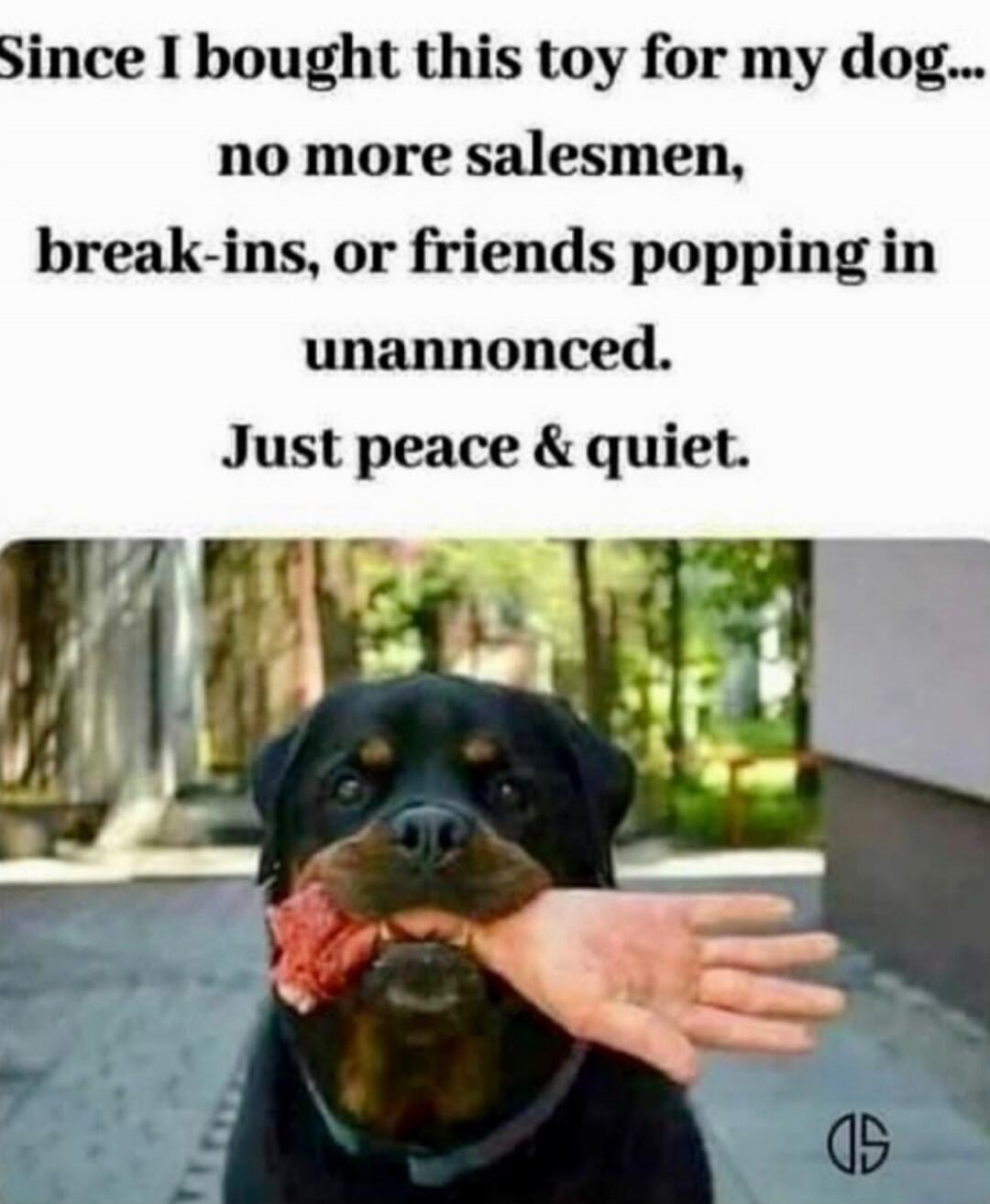 Since I bought this toy for my dog... no more salesmen, break-ins, or friends popping in unannounced. Just peace & quiet.