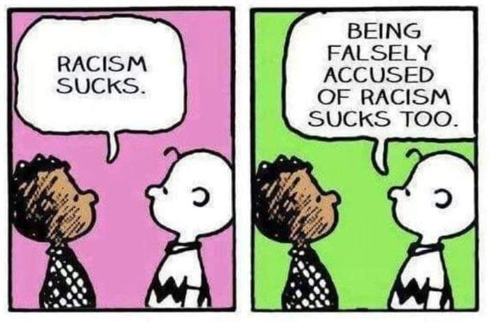 BEING FALSELY ACCUSED OF RACISM SUCKS TOO