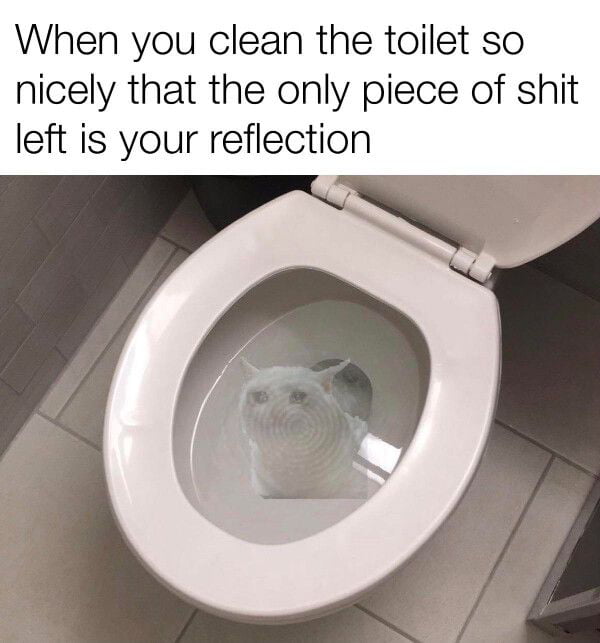 When you clean the toilet so nicely that the only piece of shit left is your reflection