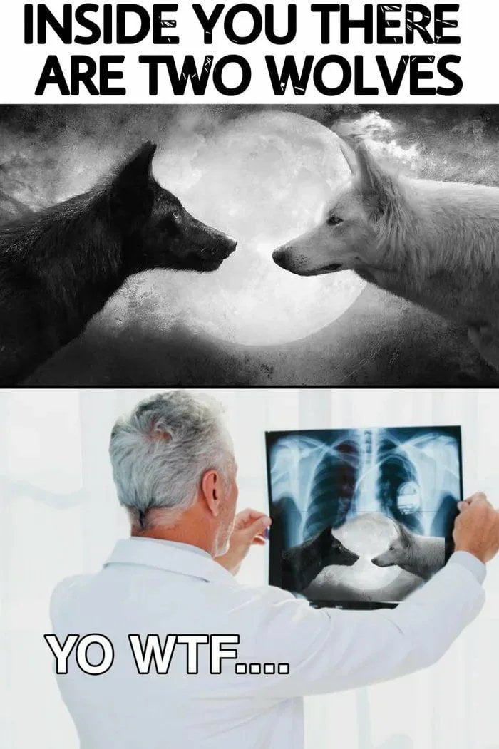 INSIDE YOU THERE ARE TWO WOLVES