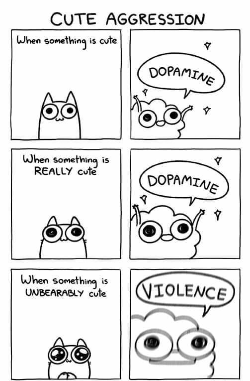 CUTE AGGRESSION When Sanen is cute v q o When something is REALLY cuvte v When something is UNBEARABLY cufe D P P 2 oD Sarah Andersen